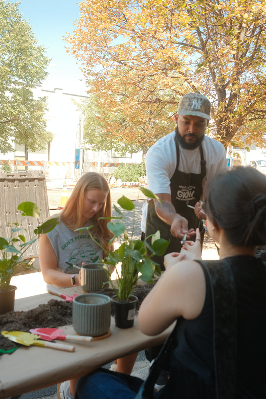 Plant Man P for Martha Stewart