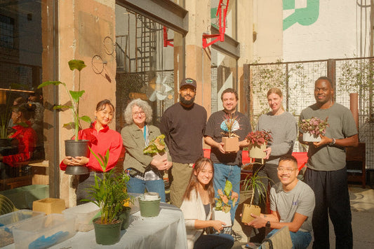 Repotting Workshop with A+R