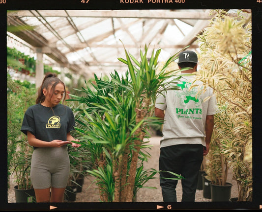 LA Times Plants Feature: What this plant power couple in Koreatown is doing to advocate for POC in the plant world
