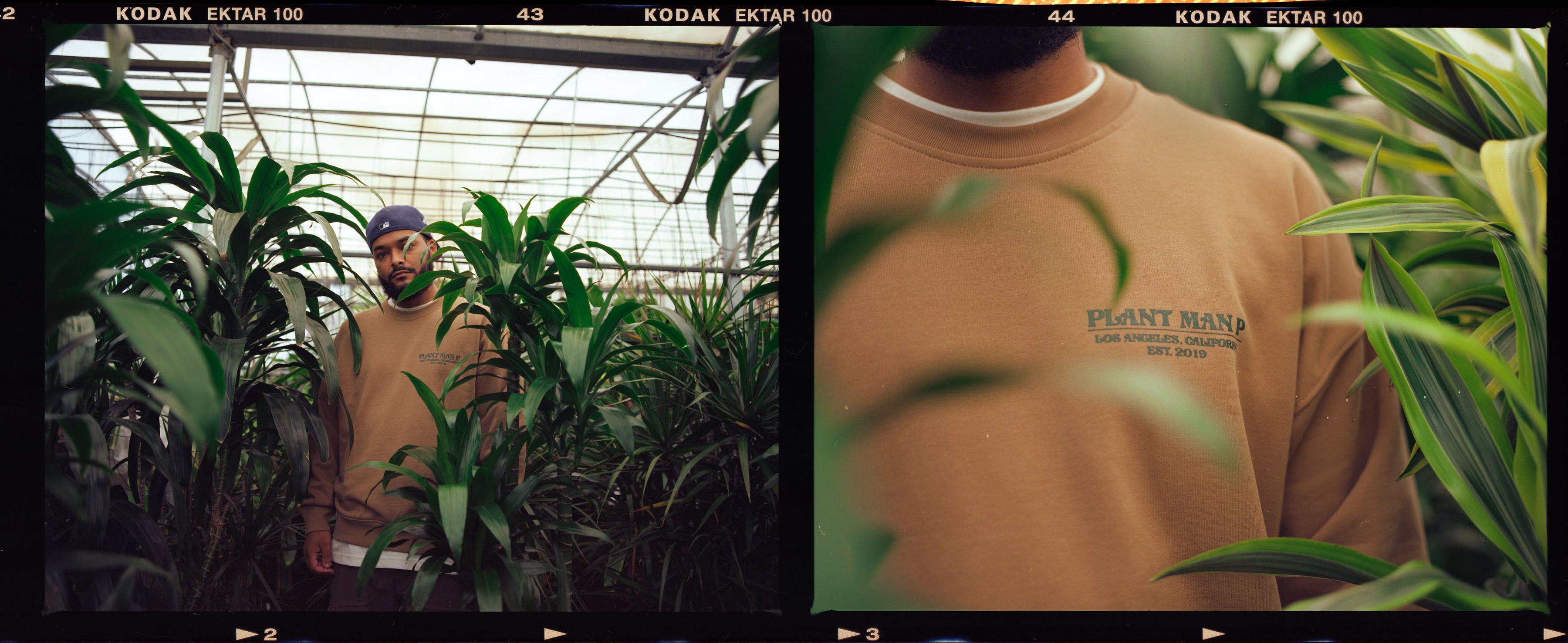 Load video: Plant Man P YouTube